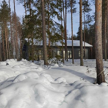 Norvalisma Villa Rovaniemi Bagian luar foto