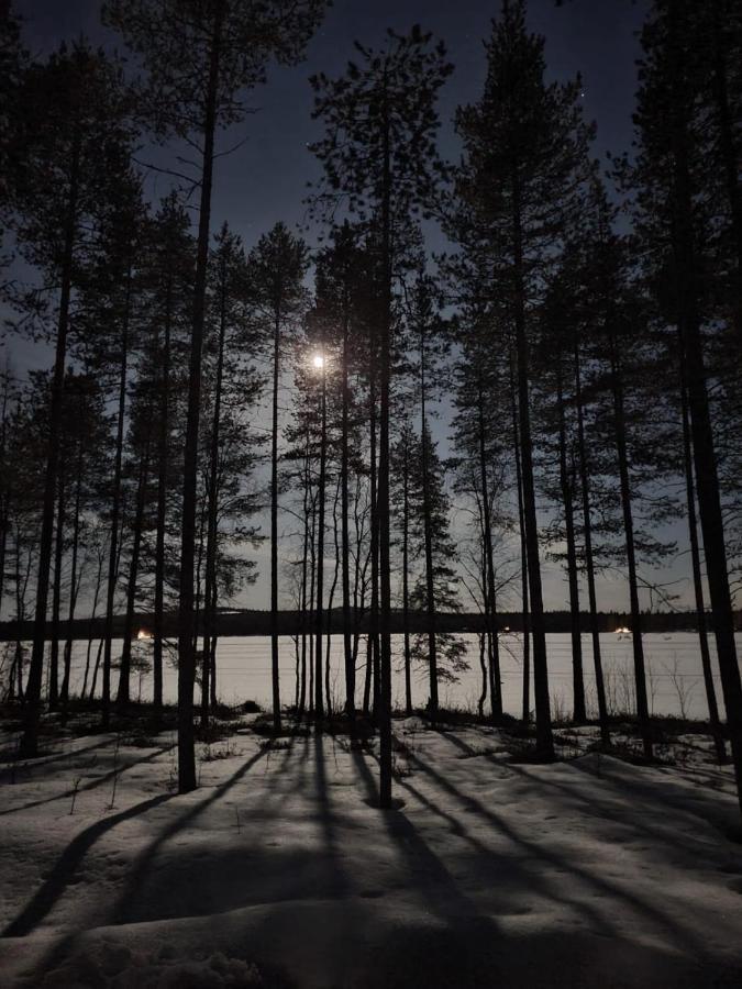 Norvalisma Villa Rovaniemi Bagian luar foto