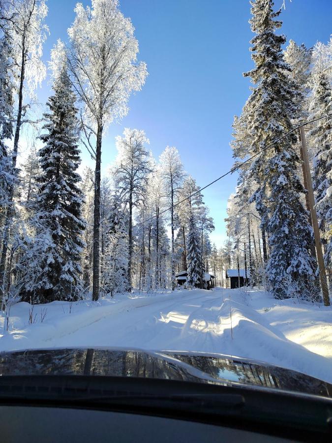 Norvalisma Villa Rovaniemi Bagian luar foto